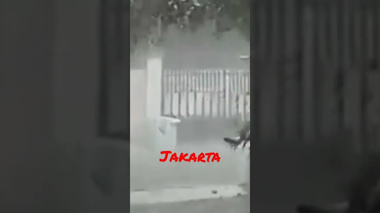 #short #Storm