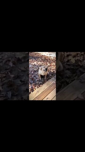 ٩ نوفمبر، ٢٠٢٢