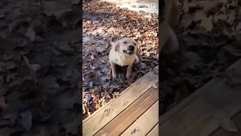 ٩ نوفمبر، ٢٠٢٢