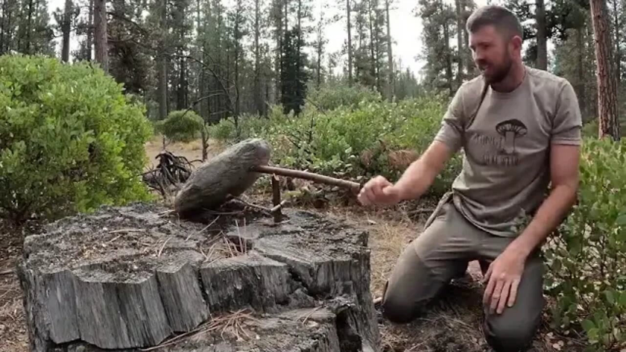 14 %%%% Survival Camping with 4 yr Old Trapping, Knapping, Friction Fire & Campfire Cooking