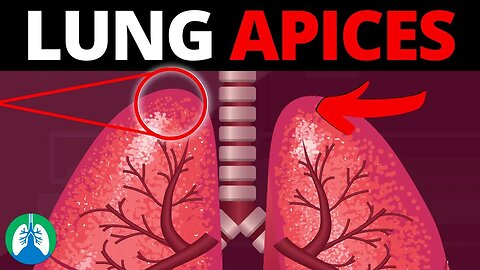 Lung Apices (Medical Definition) | Quick Explainer Video