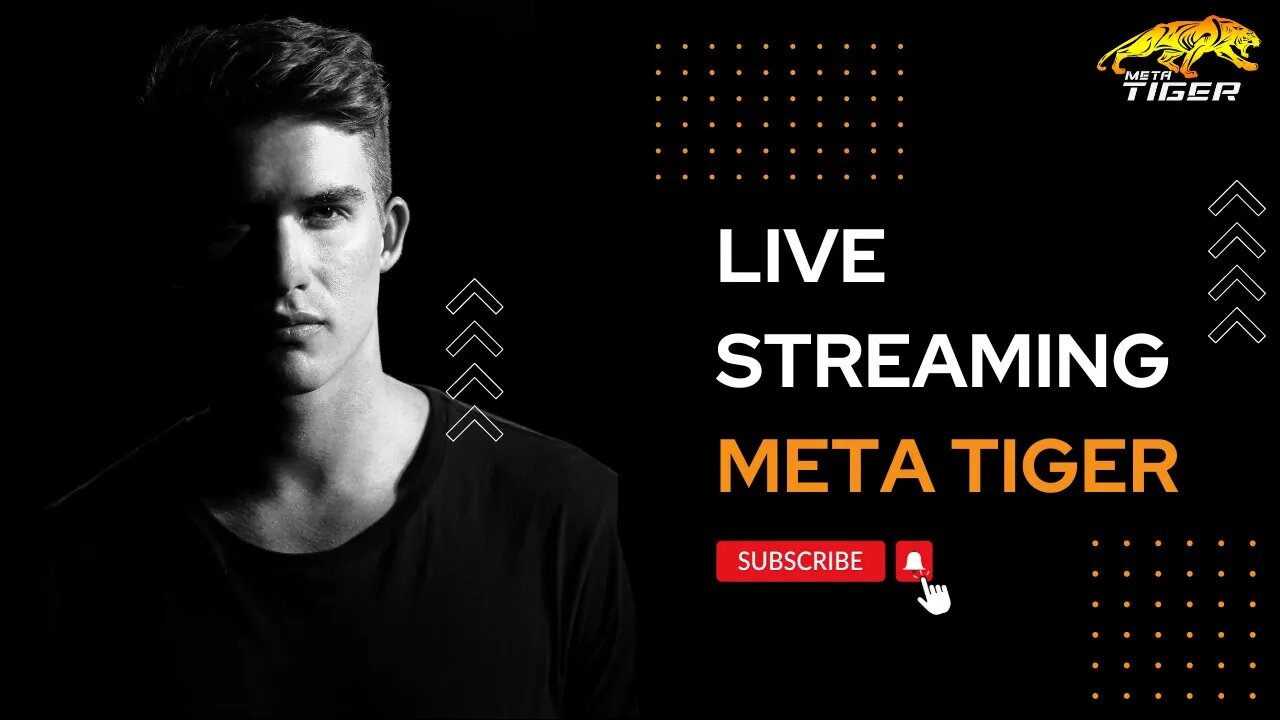Meta Tiger live plan share #MetaTiger #challenge #blockchain