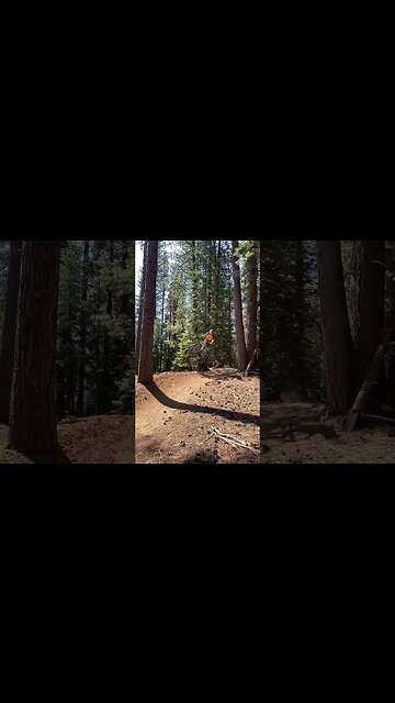 Side hits on the Propain Tyee 🤘🏼 #propain #mtb #loamwolf #ytshort