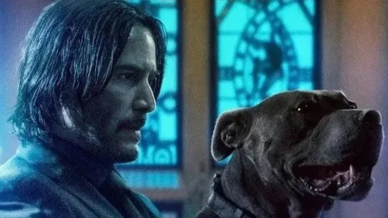 THE JOHN WICK HITS #1