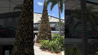 🎄 Merry Christmas - Australia || PACIFIC FAIR SHOPPING CENTRE