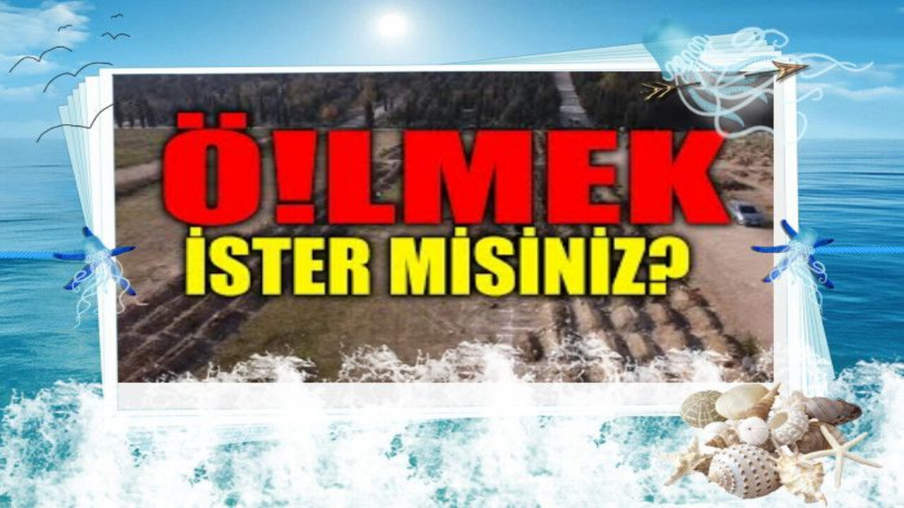 dece-elin sıvısı aşıyı olanlar ve maske takanlar ölüyor siz uyumaya deve-em edin hepiniz kefirsiniz