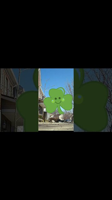 A Shamrock Visits #Shorts ☘