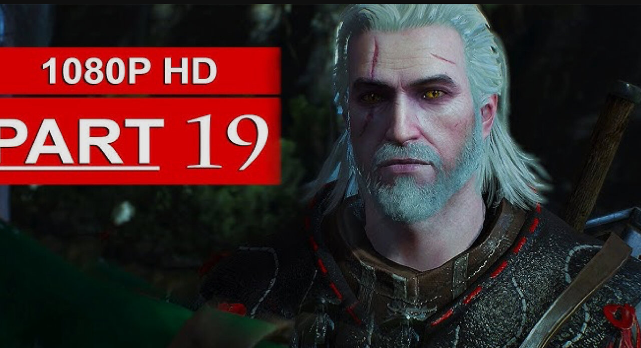 THE WITCHER 3 PART 19