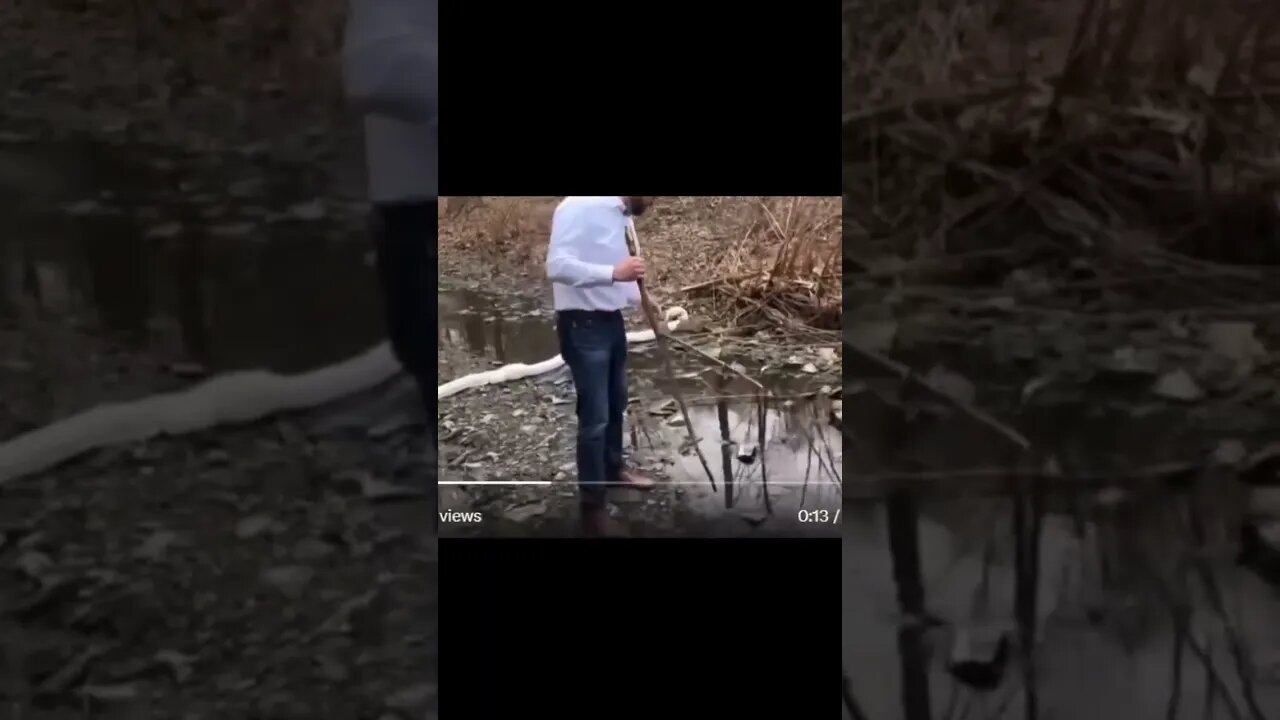 Scientists owned by guy with stick