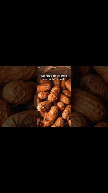Georgia peanuts