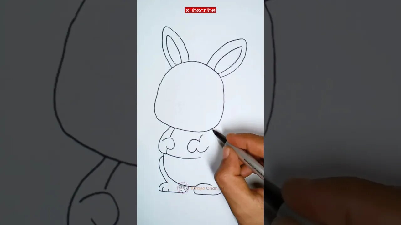 how to draw cute kangaroo