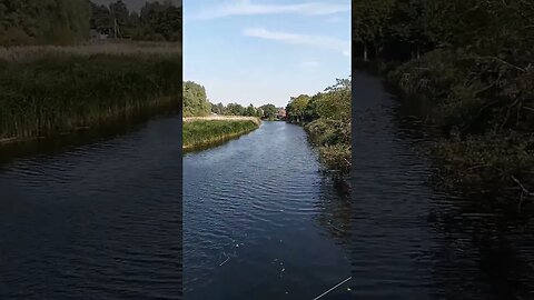 #affenbrücke in #sventoji #litauen #shorts