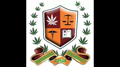 Ziplok - What Makes U Fly -Marijuana University