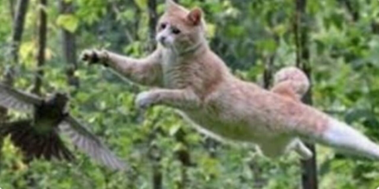 Prepared To Prevail: A Responder's Guide On Emergency Readiness (Chapter 2) read by Adam Boyd