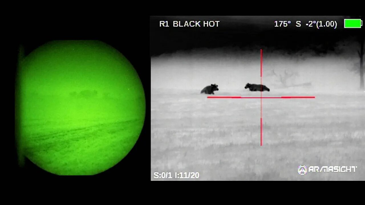 Night Vision vs Thermal (Heavy Fog Full moon)