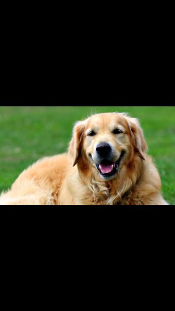 The Wit And Wisdom Of “Dr.” Jill Biden