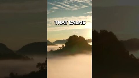 Listen to full meditations at Women's meditation network channel #meditation #sleep #shorts