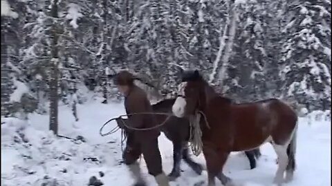 Hunting in Baikal Lake Cave & 17