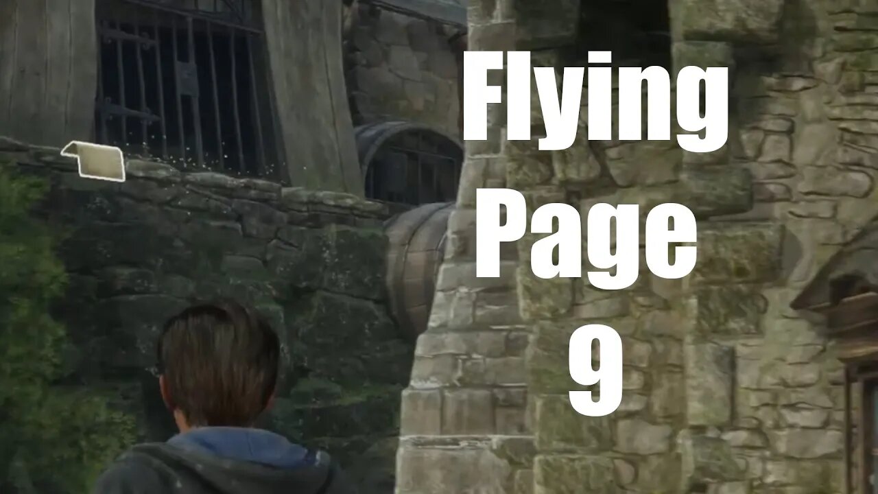 Hogwarts Legacy Flying Page 9