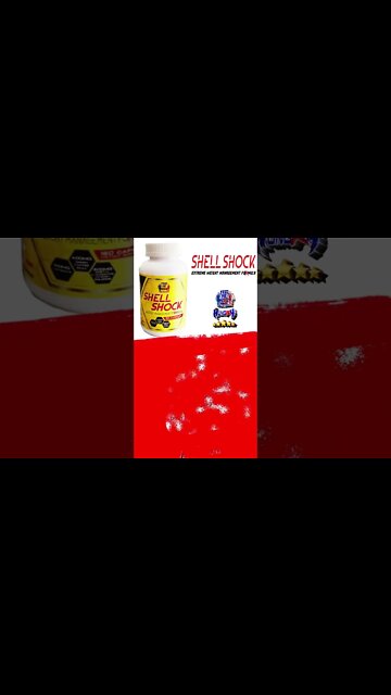 Shell Shock #1 Fat Burner by Feed Me More Nutrition