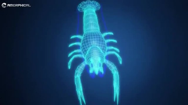 The blue crayfish's speedy shell building inspires scientists