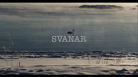 Svanar