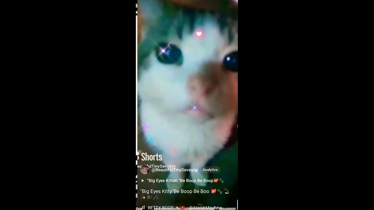 "Big Eyes Kitten"Be Boop Be Boo Full Video 🐾😻💖💫🎼🎶