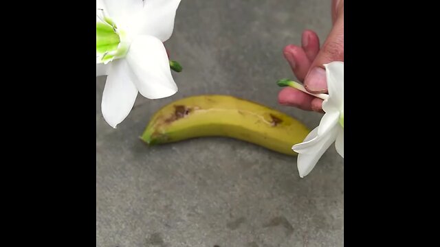 "DIY: Creative Flower Pots from Plastic Bottles"