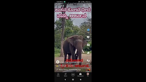 ಕಿಂಗ್ ಆಫ್ # ಕರ್ನಾಟಕ #ಅರ್ಜುನ 🐘🐘🐘🐘🐘🐘