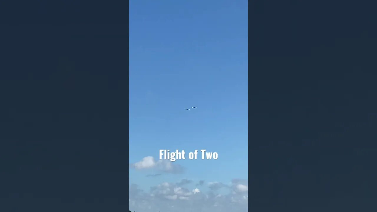 #aviationlover #aviation #aircraftpilot #airplanesdaily #warbird #t34