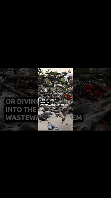 A BIG Mistake Christians Make