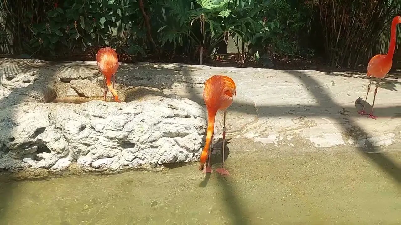May 26, 2022 Corpus Christi Texas State Aquarium