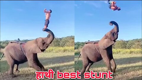 CRAZY VIDEO!!! MEN JUMPING WITH ELEPHANT WOW