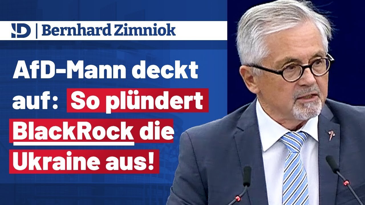 𝐁𝐞𝐫𝐧𝐡𝐚𝐫𝐝 𝐙𝐢𝐦𝐧𝐢𝐨𝐤 ▶️ AfD-Mann deckt auf: So plündert BlackRock die Ukraine aus!@AfD im EU-Parlament🙈