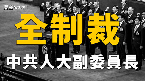 美國加大制裁力度 中共人大副委員長全在其中