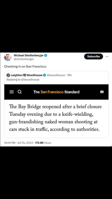 Michael Shellenberger - Here’s she is shooting at people in the middle of the freeway, SF