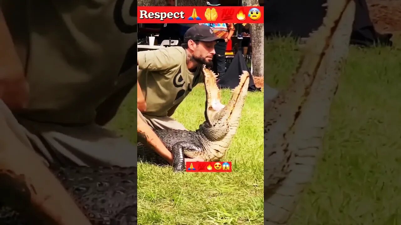 Respect 🙏 💯🔥😰 #shorts #youtubeshorts #short