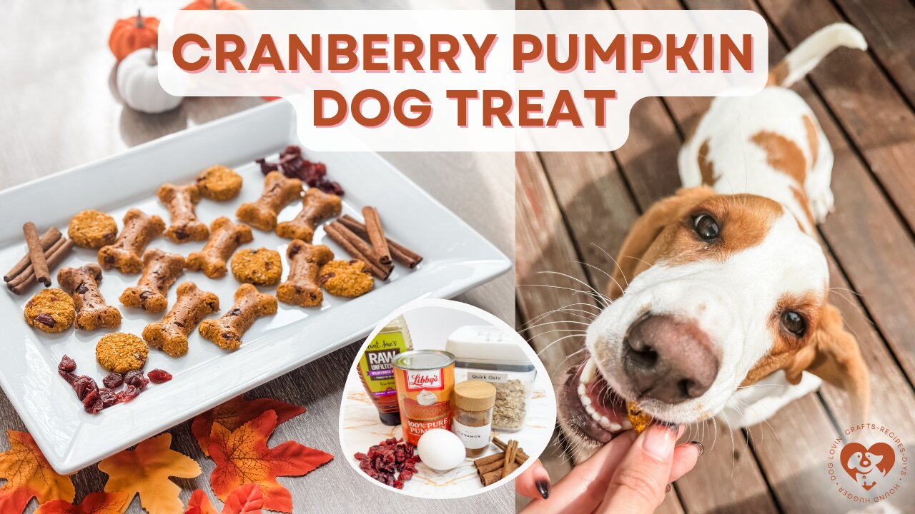 Cranberry Pumpkin Dog Treats