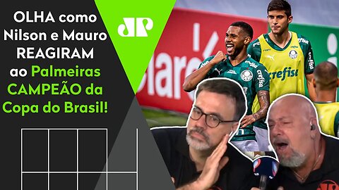 "O PALMEIRAS É CAMPEÃO DE NOVO!" OLHA que FO** a narração de Nilson Cesar!