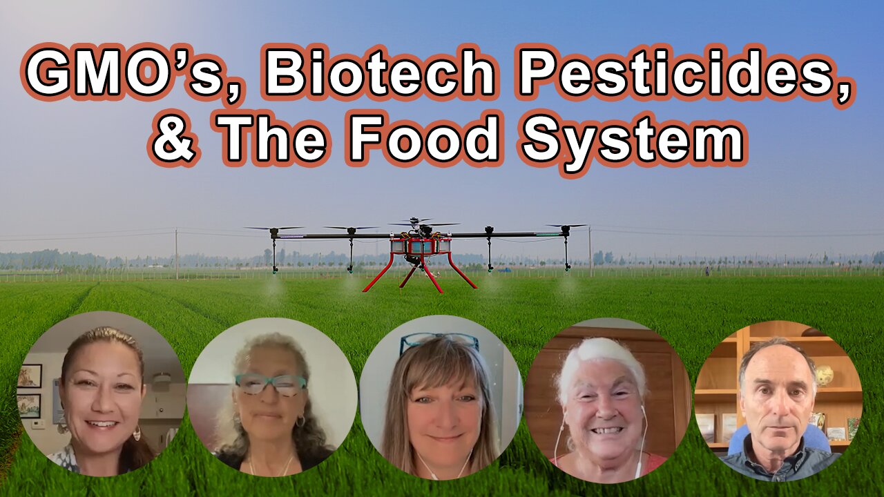 GMO’s, The Biotech Industry, Pesticides, And The Food System