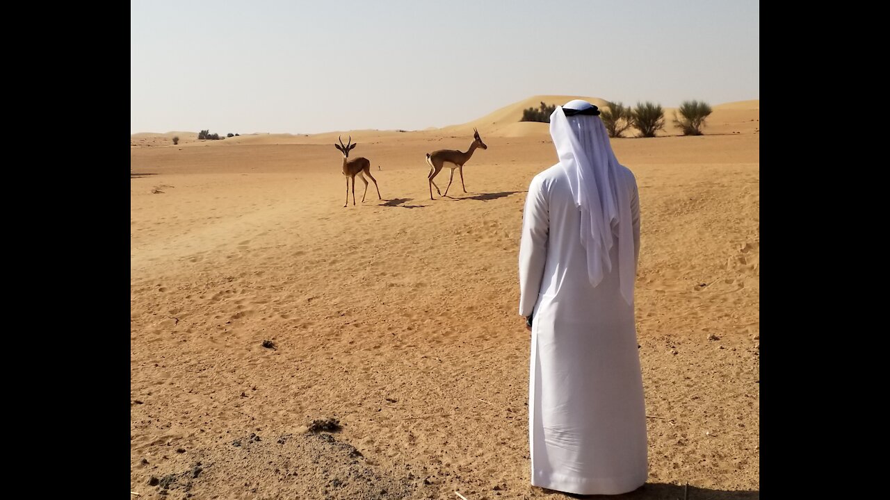 The beautiful face of desert