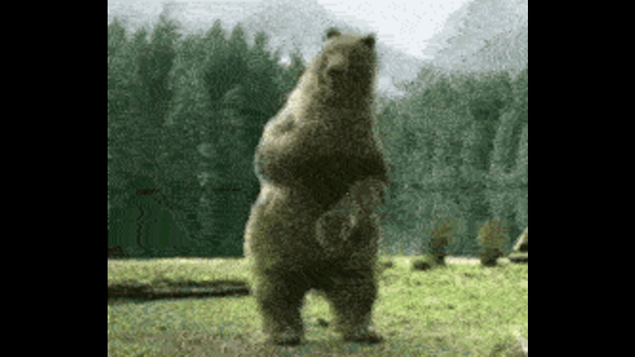 Rockin' Robin - Bobby Day 1957