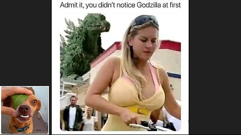 Memes That Will 99.861% Make You Laugh. (e86)