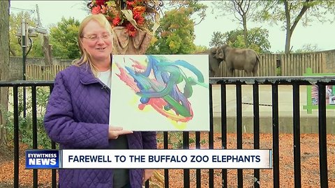This is your chance to say goodbye to the elephants at the Buffalo Zoo before they're moved