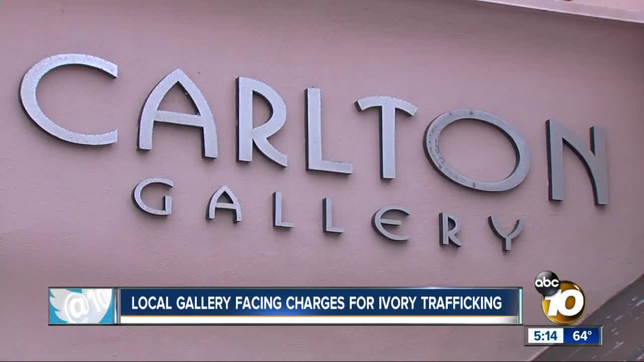 La Jolla gallery facing charges for ivory trafficking