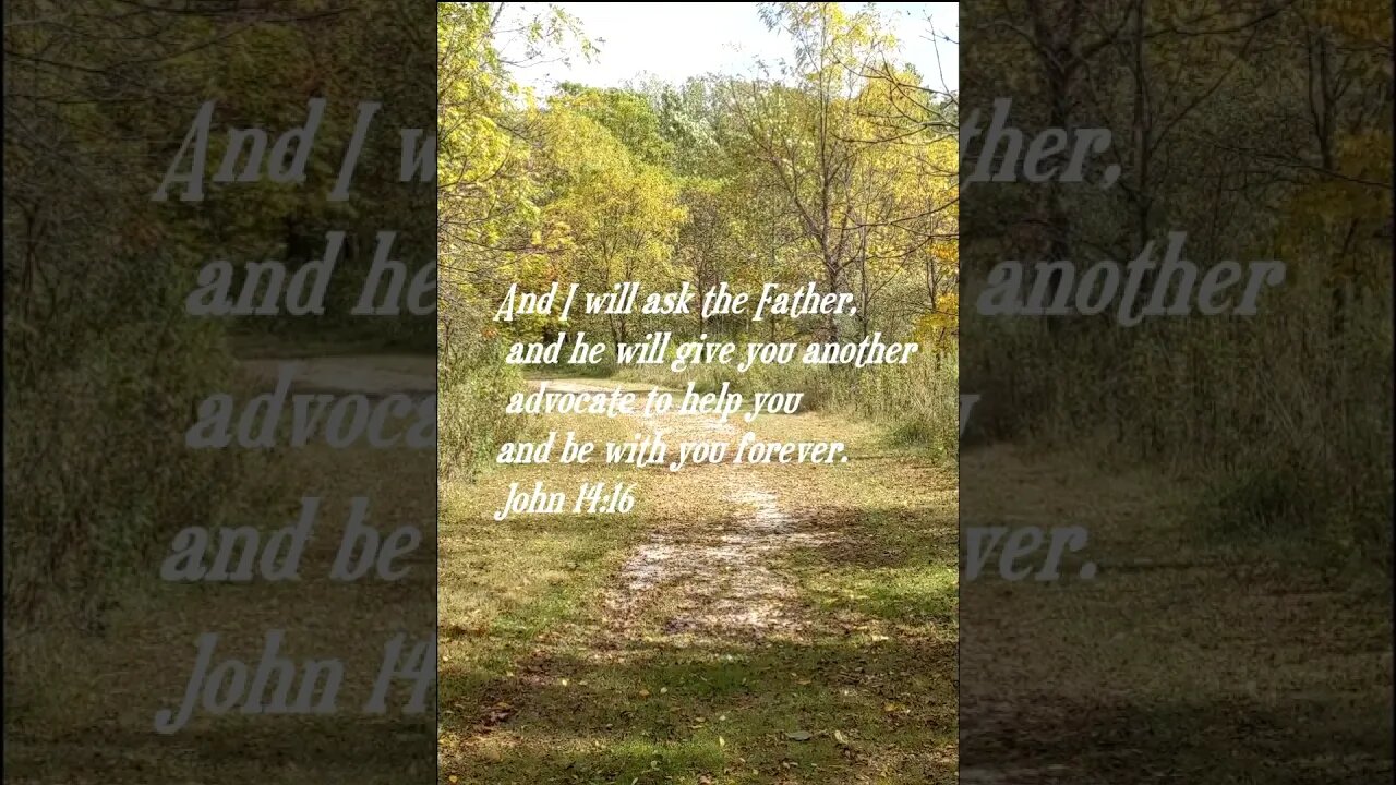 Daily Bible Verse short for today