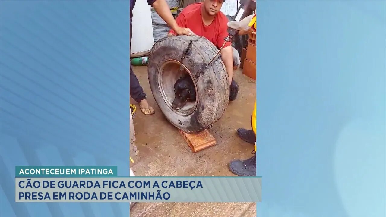 Aconteceu em Ipatinga: Cão de guarda fica com a cabeça presa em roda de caminhão.