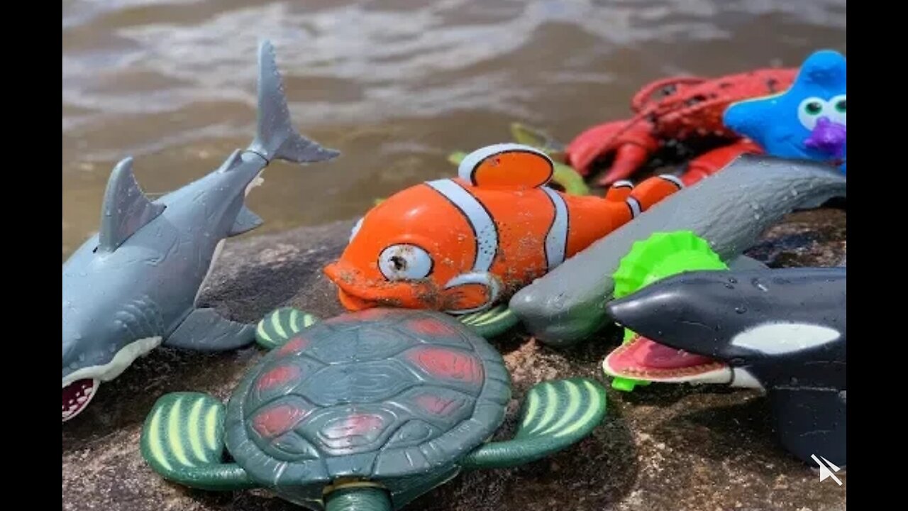 Sea animal toys this summer at the shore