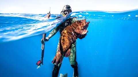 Removing POISONOUS Fish Dangerous to HUMANS!! *DEEP CAVE* (surprise octopus)
