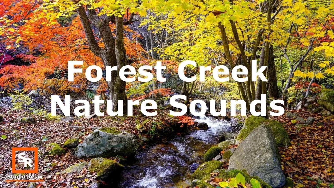 Nature #4 Fall Forest Creek Sounds